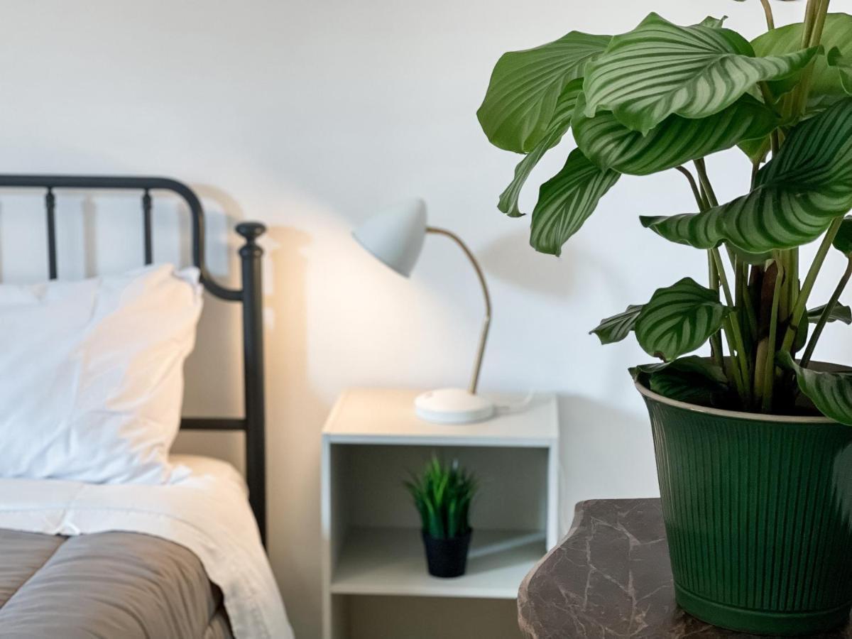 Sestio House Leilighet Roma Eksteriør bilde
